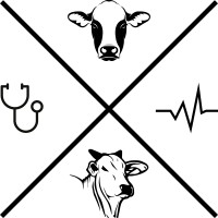 MPBov - Medicina de Produção de Bovinos logo - Similar company to Gepra - Grupo De Estudo E Pesquisa Em Reprodução Animal