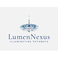 Lumen Nexus Group logo - Similar company to 1Styou
