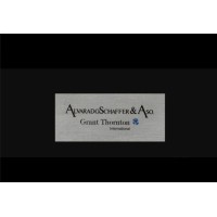 EX ALVARADOSCHAFFER & ASO. logo - Similar company to Ross Auditores Y Consultores
