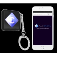 Crystal Innovations, Inc. logo - Similar company to Tourmanagement.Com