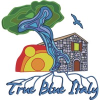TRUE BLUE ITALY - Airport Facilities and Travel & Tour services logo - Similar company to Tresconecta