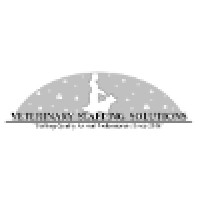 VSS logo - Similar company to Vss