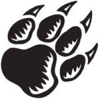 Big Bear Bespoke Education Ltd logo - Similar company to Delta Education Trust