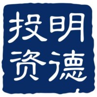 Integrity Capital Partners logo - Similar company to Bda China