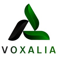 Voxalia logo - Similar company to Resource Lab