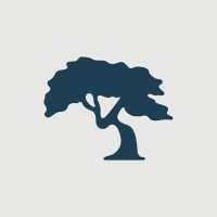 AV Financial Group logo - Similar company to Evolution Wealth Advisors Llc