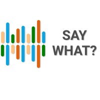 SayWhat? logo - Similar company to Avanssa