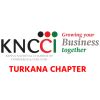 TURKANA CHAMBER OF COMMERCE (KNCCI) logo - Similar company to Kncci -Attic Chapter