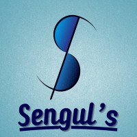 Sengul's logo - Similar company to Aiplasmatech