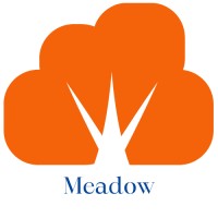 Meadow logo - Similar company to Cloudwell Group, Llc