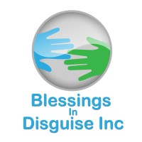 Blessings In Disguise Inc. logo - Similar company to Flashlight Insights