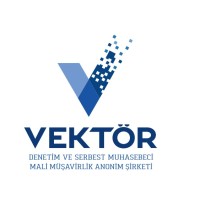 Vektör Denetim SMMM A.Ş. logo - Similar company to Levent Sanli Smmm