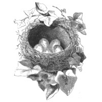 Crows Nest, Inc logo - Similar company to Crows Nest Software