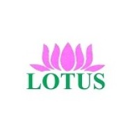 Lotus Technology logo - Similar company to Lotus Technologies