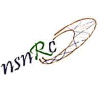 N. Shankaran Nair Research Center for Nanotechnology and Bio-nanotechnology logo - Similar company to Nanotechnology Solutions