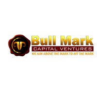 BullMark Capital Ventures logo - Similar company to Marktale - Powered By Ai