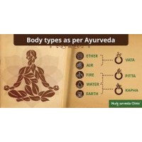 Ayurveda Doctors logo - Similar company to Apollo Pharmacy