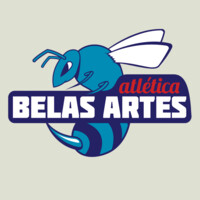 Associação Atlética Acadêmica Belas Artes logo - Similar company to O Cérebro