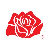 ESSEOQUATTRO SPA logo - Similar company to Sdr Pack