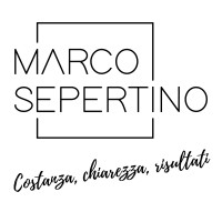 Marco Sepertino | Digital Marketing Consultant logo - Similar company to Digit Habits