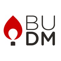 Dance Marathon at Boston University logo - Similar company to Ledgerfi