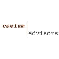 CAELUM ADVISORS LTD logo - Similar company to Yimba