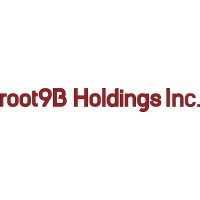 root9B Holdings Inc logo - Similar company to Root9B Llc