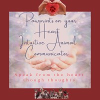 Pawprints on Your Heart Intuitive Animal Communicator logo - Similar company to Whispering Paws Animal Communicator