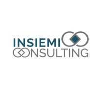 Insiemi Consulting logo - Similar company to Gitav
