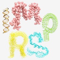 International Max Planck Research School on Cellular Biophysics (IMPRS-CBP) logo - Similar company to Lemke Lab