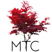 Maple Tree Capital logo - Similar company to Rocket Ship Dev