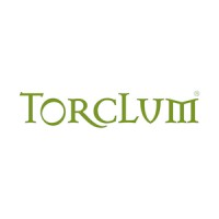 Torclum logo - Similar company to We Think Consulting