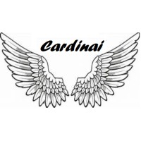 Cardinai Logistics logo - Similar company to Dapta Kenya