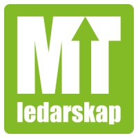 MT-Gruppen AB logo - Similar company to Talking Minds
