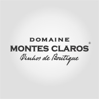 Domaine Montes Claros Importadora logo - Similar company to Tag Brazil | Tax, Legal & Financial Services