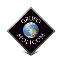 Grupo Molicom logo - Similar company to Bcp
