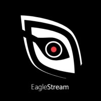 Eagle Stream logo - Similar company to Aim Project