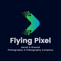 Flying Pixel logo - Similar company to Flying Pixels