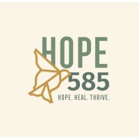 HOPE585 logo - Similar company to Court Appointed Special Advocates Of New York State (Casanys)