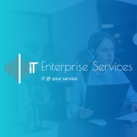 DS Enterprise Services logo - Similar company to Comit
