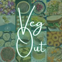 Veg Out logo - Similar company to Veg Out Organics