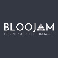 Bloojam Consulting Ltd logo - Similar company to Sparkle Gala Official
