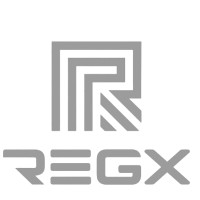 RegX.ai logo - Similar company to Iddion Solutions