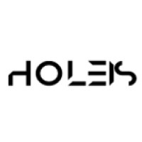 HolEIS logo - Similar company to Mondopower