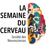 Semaine du Cerveau logo - Similar company to Mindpulse Fr