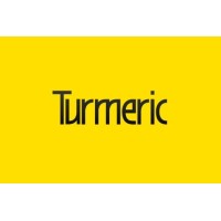 Turmeric AI logo - Similar company to Hextropian Systems