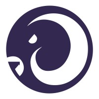 RAM SYSTEMS logo - Similar company to Elma Electronic