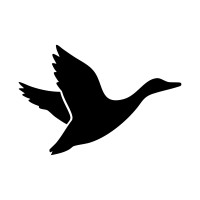 Horizon Wealth Partners | HWP logo - Similar company to Quantum Financial - Independent Financial Planners