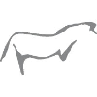 TEMPS FORT logo - Similar company to Noctiraid