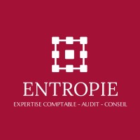 ENTROPIE logo - Similar company to Codealigent 🚀